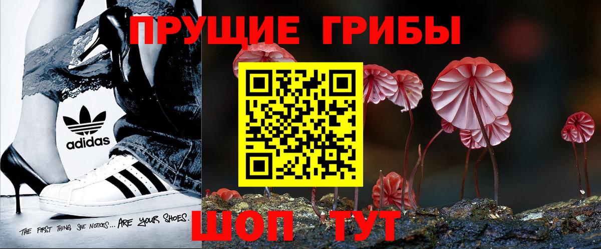 Псилоцибиновые грибы Psilocybine cubensis Жигулёвск