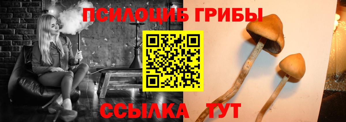 Галлюциногенные грибы Magic Shrooms  Вход с VPN  Галлюциногенные грибы мухоморы  Жигулёвск 